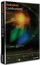 Autodesk Combustion